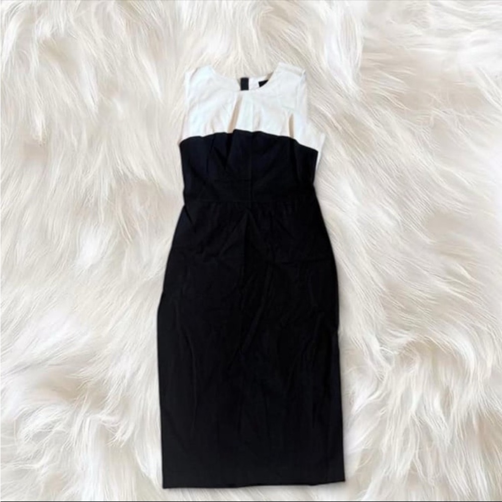 Banana Republic Roland Mouret Dress